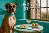 Elegant Boxer in a turquoise scarf by sunlit window at turquoise banquette with savory canapés, mini muffins & peach-hued cocktail on riveted metal table under “Barkfast at Tiffany’s” script