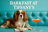 Cavalier King Charles Spaniel wearing a floral napkin on a turquoise bench next to a peach cocktail coupe under Barkfast at Tiffany’s