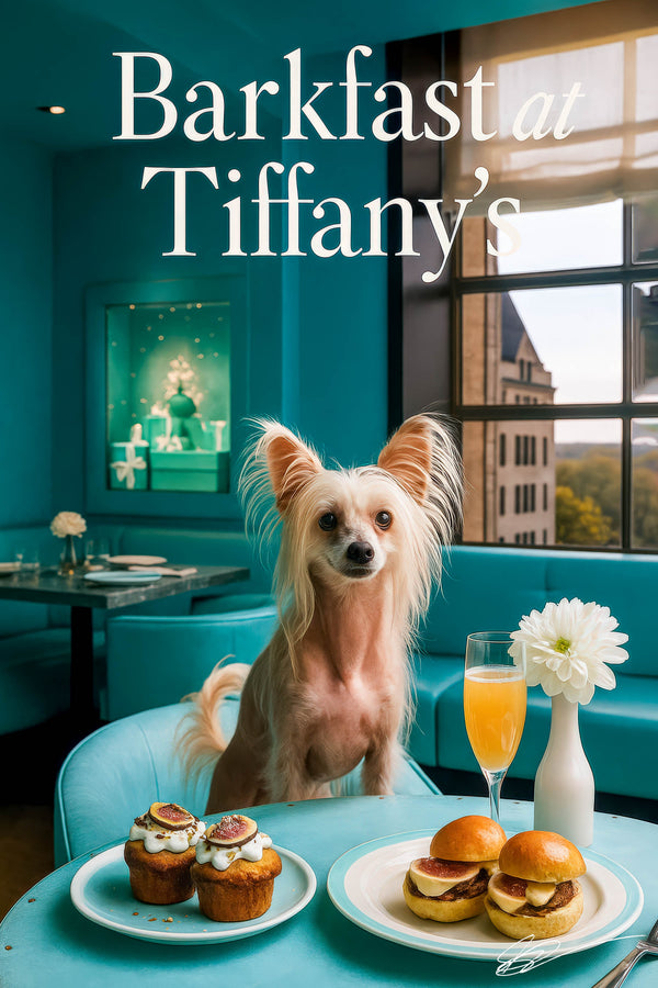 Chinese Crested dog at a teal café table with fig-topped muffins, brioche sliders, a mimosa and a white flower
