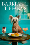 Chinese Crested dog at a teal café table with three mini quiches, berry parfait and a cocktail