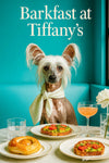 Chinese Crested dog wearing cream scarf at a teal cafe table with avocado toast pastries mimosa and white flower