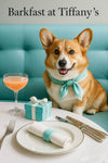 Corgi wearing turquoise scarf sitting in tufted booth at table with Tiffany blue gift box frothy cocktail and rolled napkin on plate