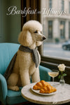 Cream poodle wearing a gray scarf seated by a city window at a marble table with croissants cocktail and a white rose metal print