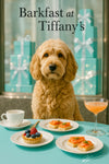 Fluffy goldendoodle at turquoise café table with gift boxes smoked salmon canapés berry tart coffee and cocktail