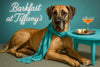 Great Dane wearing turquoise scarf reclining by table with petit fours on silver tray and brunch cocktail