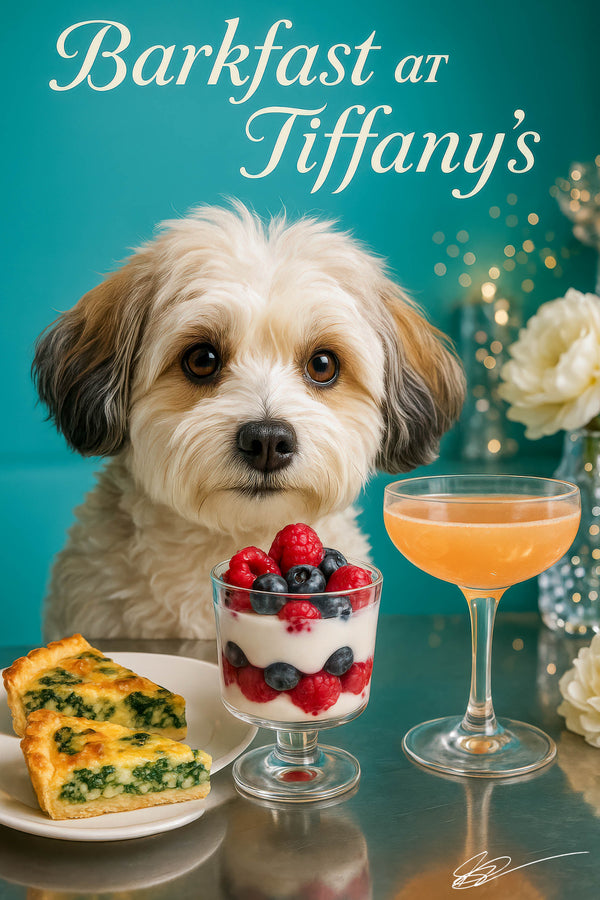 Fluffy cream and amber Havanese staring over a metal table with spinach quiche two slices berry parfait and a peach cocktail