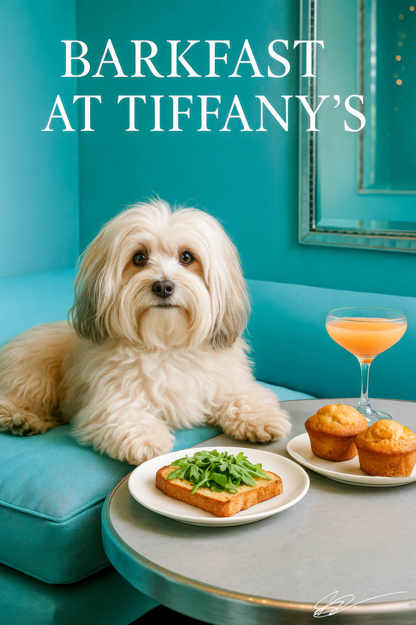 Fluffy Havanese dog on teal banquette next to arugula toast golden muffins and a pink cocktail