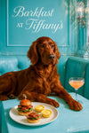 Auburn Irish Setter reclining on teal banquette beside plate of bacon lettuce sliders lemon tarts and a pink cocktail