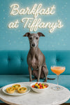 Slender Italian greyhound seated on turquoise banquette beside spinach quiches fruit salad and pink cocktail on marble table