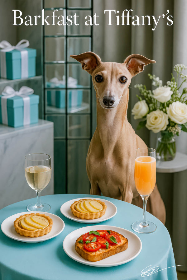 Slender Italian greyhound seated at teal table with peach tarts tomato basil toast mimosa and white wine against a backdrop of Tiffany blue gift boxes and white roses