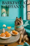 Fluffy Keeshond wearing aqua scarf seated at a teal booth beside plates of mini ham croissants muffins and a pink cocktail