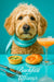 Close-up of a golden Labradoodle wearing a teal scarf against a turquoise background, its soulful eyes and fluffy curls in vivid detail