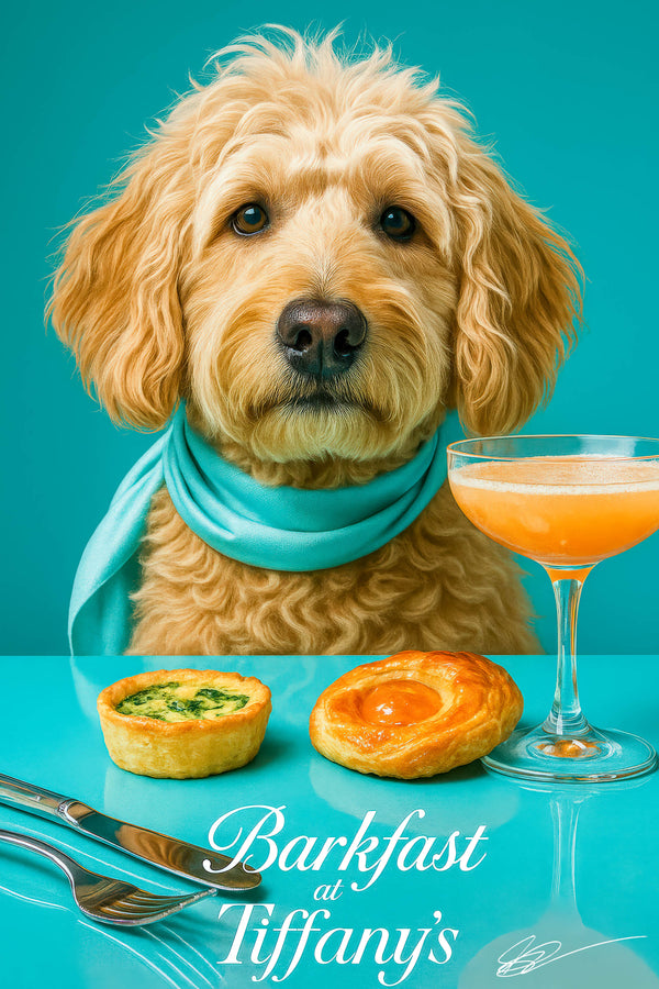 Close-up of a golden Labradoodle wearing a teal scarf against a turquoise background, its soulful eyes and fluffy curls in vivid detail