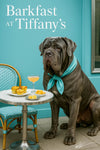 Grey Neapolitan Mastiff wearing a Tiffany-blue scarf seated beside a marble bistro table under a glowing Barkfast at Tiffany’s sign