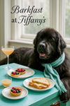 Black Newfoundland wearing a Tiffany-blue scarf lounging by a sunlit window next to a café table