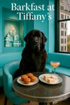 Black Newfoundland with glossy coat seated on Tiffany-blue banquette beside a window