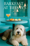 Old English Sheepdog lying under a teal café table with a silver tray holding a swirl pastry two herb tarts and a pink cocktail