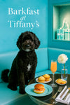 Black Portuguese Water Dog seated on a tufted aqua bench beneath a crystal chandelier, with sculpted walls and glass display niche