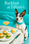 Rat Terrier wearing a turquoise scarf seated at a marble café table with three mini sliders a brioche bun top and a peach cocktail against a teal banquette