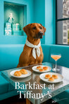 Rhodesian Ridgeback wearing a white scarf seated at a turquoise banquette beside a metal café table with two croissants a plate of smoked salmon canapés and a peach cocktail