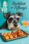 Close-up portrait of a gray Schnauzer with expressive eyes against a Tiffany-blue café backdrop