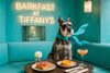 Schnauzer wearing a flowing blue scarf in a turquoise booth beside a table with ham toast citrus swirl pastry peach cocktail and glowing neon sign