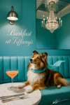 Shetland sheepdog wearing a pale blue scarf seated on a turquoise banquette with a pink cocktail on a marble table beneath a crystal chandelier