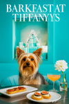 Silky Terrier seated on a turquoise banquette beside a metal table with tomato-topped tartines fig cream tartlets a peach cocktail a white bloom and Tiffany-blue gift box display
