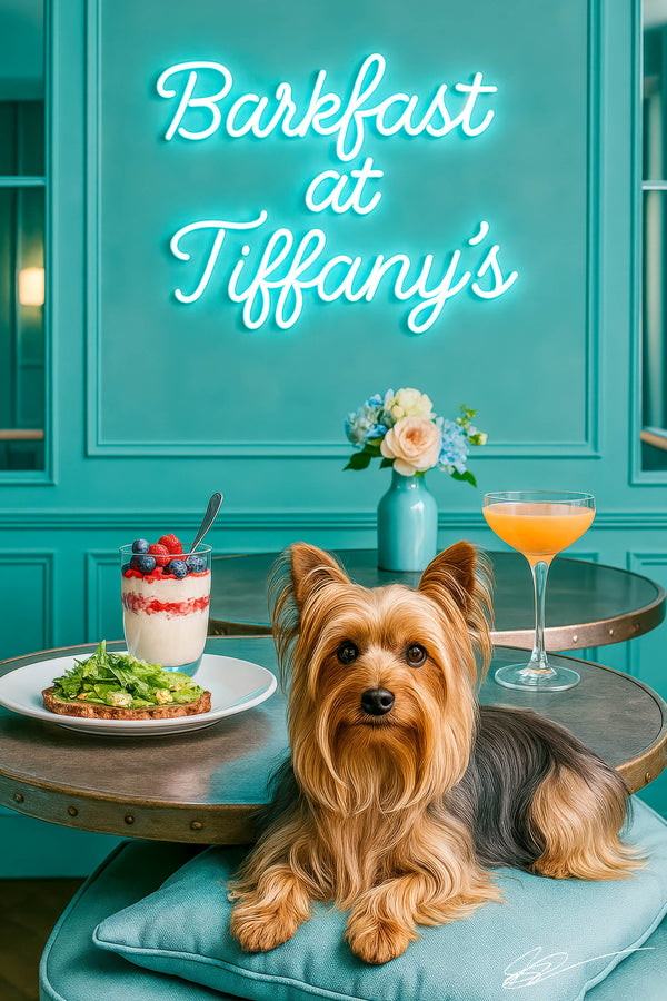 Silky Terrier resting on a turquoise cushion beside a marble table with a layered yogurt parfait avocado toast and a peach brunch cocktail under a Barkfast at Tiffany’s sign