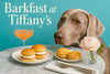Weimaraner with steel-gray coat seated by a marble table under a neon Barkfast at Tiffany’s sign in a chic café setting