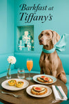 Weimaraner wearing an aqua scarf seated in a chic café booth beneath a neon Barkfast at Tiffany’s sign