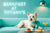 White West Highland Terrier reclining on a cool-teal banquette under a neon café sign