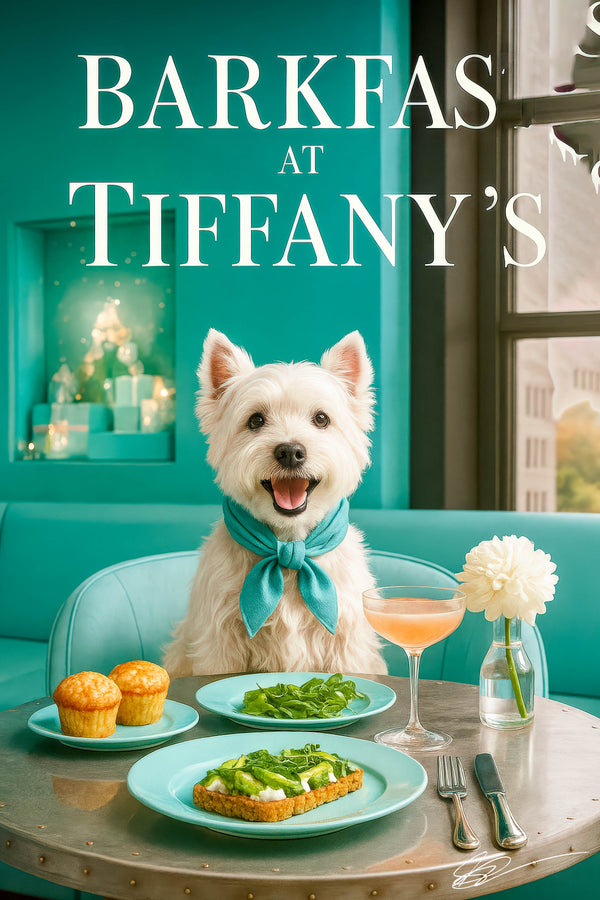 Happy white West Highland Terrier with expressive eyes against a soft aqua background