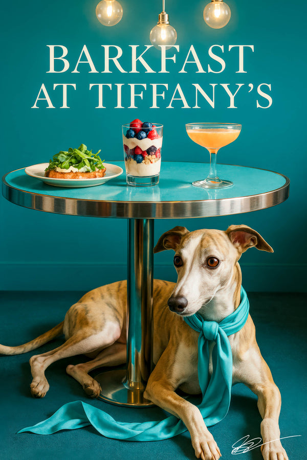 Whippet wearing a turquoise scarf lying under a round metal table topped with arugula toast a berry parfait and a peach cocktail against a teal background with hanging globe lights