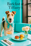 Wire fox terrier wearing a turquoise scarf standing behind a teal table with an apricot cocktail a brioche bun a pat of butter and a vase of blush roses