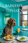 Wirehaired pointing griffon seated in a teal booth with a plate of three golden muffins an arugula topped open-faced toast and a peach cocktail in a flute glass on a round metal table