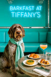 Wirehaired pointing griffon wearing a teal scarf seated under a neon Barkfast at Tiffany’s sign with two salted croissants halved fig a spinach tart a peach cocktail and a glass of water on a round metal table