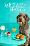 Wirehaired pointing griffon seated at a teal table with smoked salmon and cream cheese brioche sliders an apricot cocktail a water carafe and a white dahlia bud vase