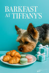Yorkshire terrier sniffing a plate of mini croissants and pastel macarons next to Tiffany blue gift boxes on a teal table