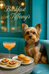 Yorkshire terrier seated on a teal banquette beside a table with two fig tarts two golden muffins and a peach cocktail