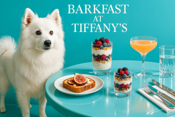 American Eskimo Dog standing at a Tiffany-blue table with layered berry yogurt parfaits, fig-topped toast, a peach cocktail, a glass of water, and silverware