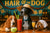 Three dogs at a bar counter sipping cocktails under a “Hair Of The Dog II” sign on Metal Print