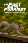 Speedy squirrel racing on railing artwork titled The Fast and the Furriest - I live my life a quarter mile at a time
