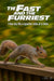 Speedy squirrel racing on railing artwork titled The Fast and the Furriest - I live my life a quarter mile at a time