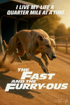 Intense racing greyhound sprinting titled The Fast and the Furry-ous I live my life a quarter mile at a time