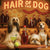 Hair of the Dog Afghan Shepherd 002 Ruff & Ready Funny Canine Art neon lights, bacon-woven flair, and egg murals