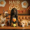 Hair of the Dog Afghan Shepherd 004 Ruff & Ready Funny Canine Art neon lights, bacon-woven flair, and egg murals