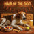 Hair of the Dog American Foxhound 011 Ruff & Ready Funny Canine Art neon lights, bacon-woven flair, and egg murals