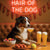 Hair of the Dog Australian Shepherd 002 Ruff & Ready Funny Canine Art neon lights, bacon-woven flair, and egg murals