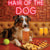 Hair of the Dog Australian Shepherd 007 Ruff & Ready Funny Canine Art neon lights, bacon-woven flair, and egg murals
